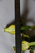 IMG_1041