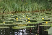 IMG_1685