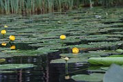IMG_1686