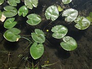 IMG_3647
