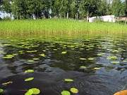 IMG_6993