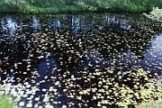 IMG_0083