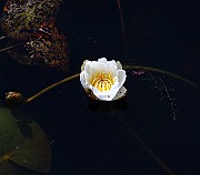 IMG_0089