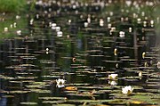 IMG_0091