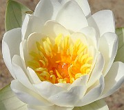 IMG_0395