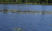 IMG_0435