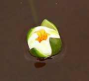 IMG_1882