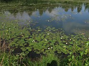 IMG_2032