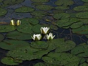 IMG_2035