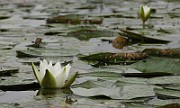 IMG_5099