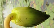 IMG_5100