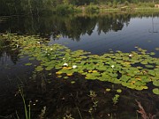 IMG_7514