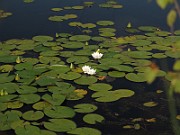 IMG_7516