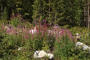 IMG_1001