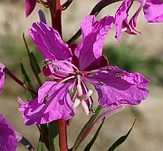 IMG_5758