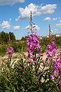 IMG_5760