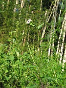 IMG_4351