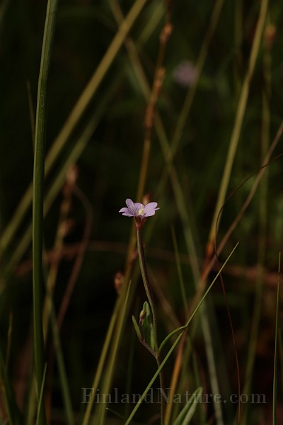IMG_1147.JPG