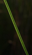 IMG_2807