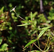 IMG_6546