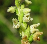 IMG_8099b