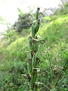 IMG_5969