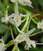 IMG_7528