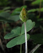 IMG_3306