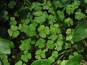 IMG_3689