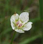 IMG_6761