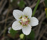 IMG_6795