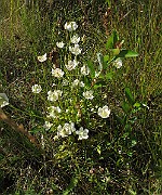 IMG_9712