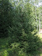 IMG_4285