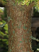 IMG_4290