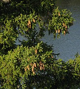 IMG_4325