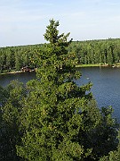 IMG_4327