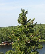 IMG_4327b