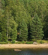 IMG_4331