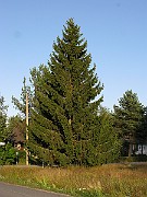 IMG_4813