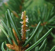 IMG_5195