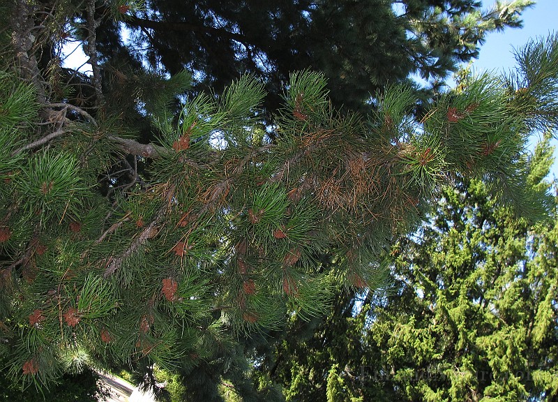 IMG_0788.JPG