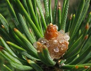 IMG_4905