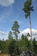 IMG_4907