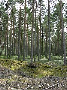 IMG_5169