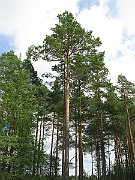 IMG_5170