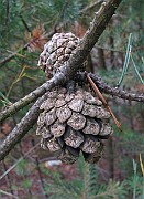 IMG_5172