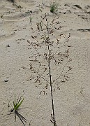 IMG_2122