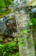 IMG_9902
