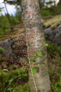 IMG_9905
