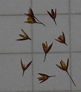 IMG_9966